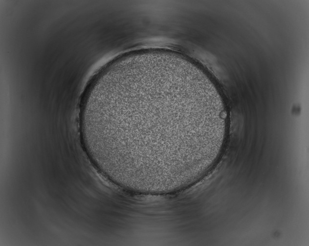 X0000100841164200807180914