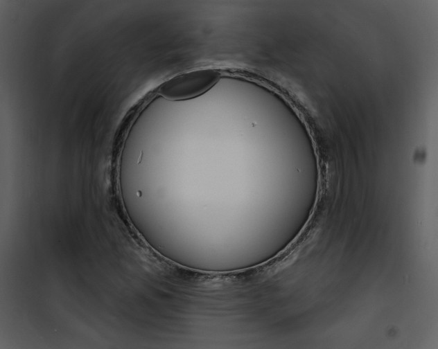 X0000100841165200807180914