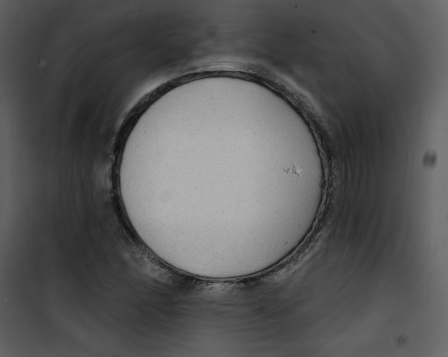 X0000100841166200807180914