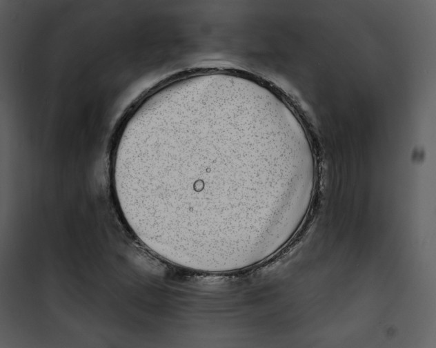 X0000100841167200807180914