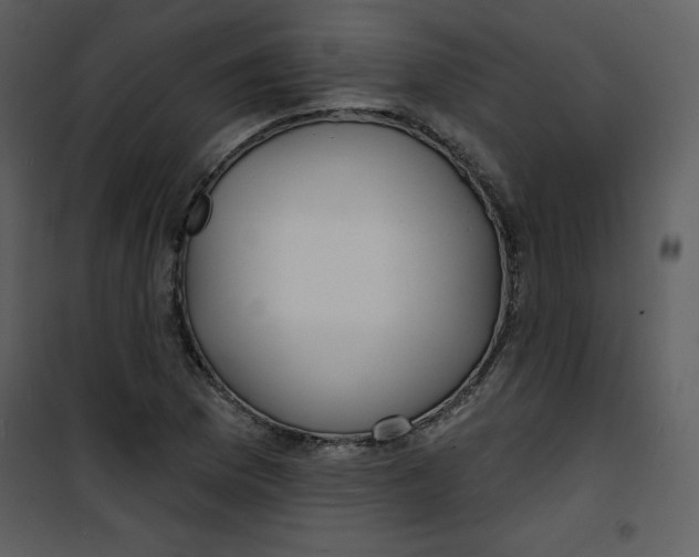 X0000100841169200807180914