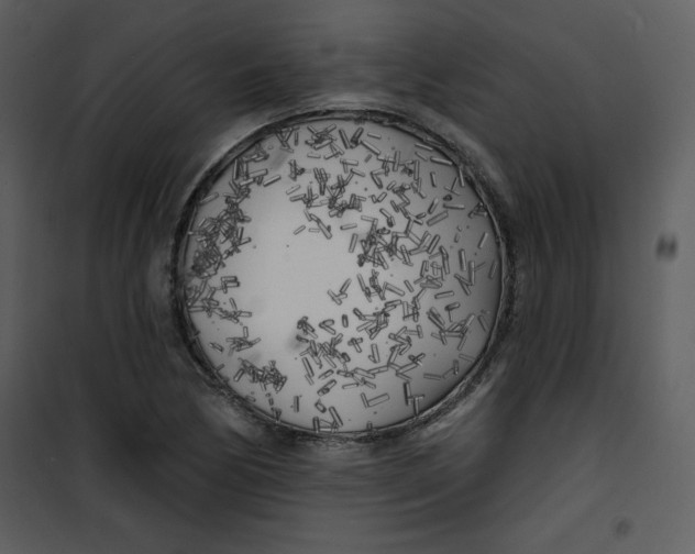 X0000100841170200807180914