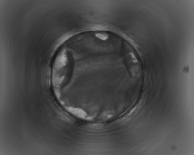 X0000100841171200807180914