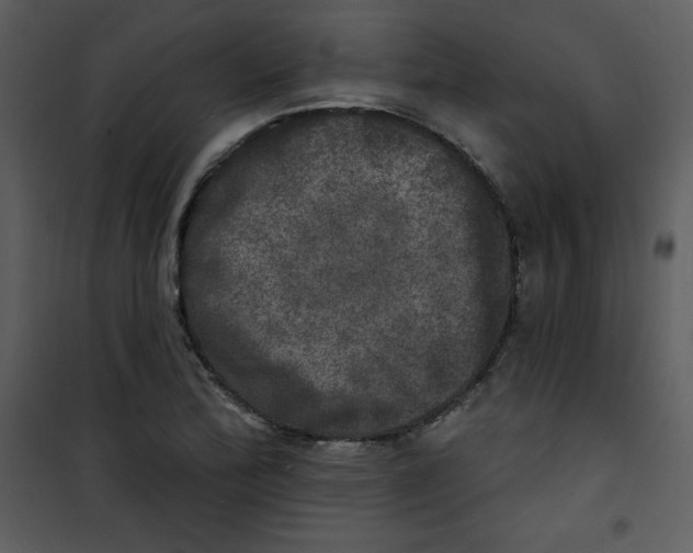 X0000100841172200807180913