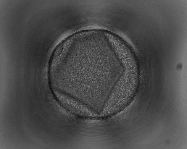 X0000100841173200807180913