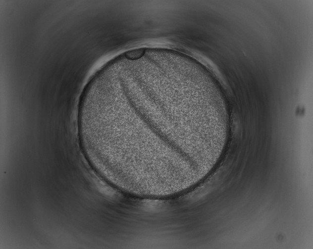 X0000100841176200807180913