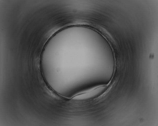 X0000100841177200807180913