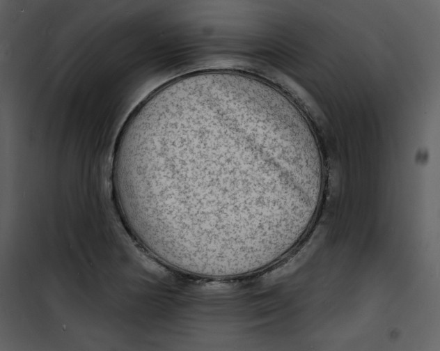 X0000100841178200807180913