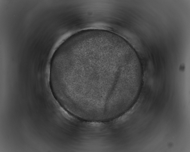 X0000100841180200807180913