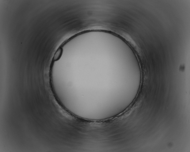 X0000100841181200807180913