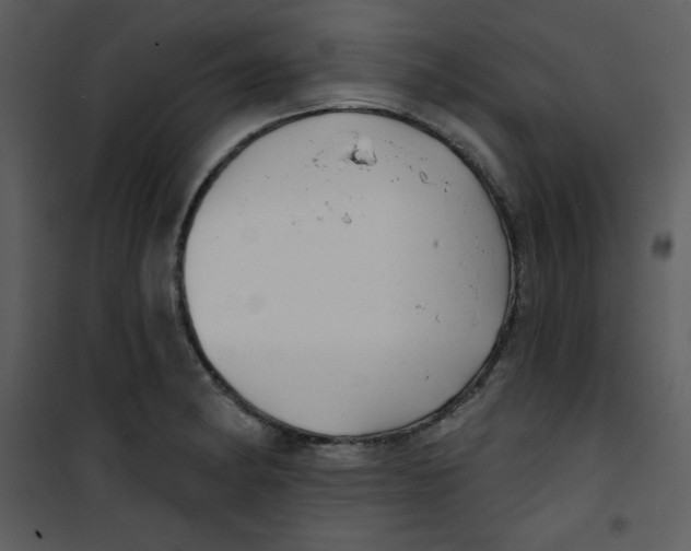 X0000100841182200807180913