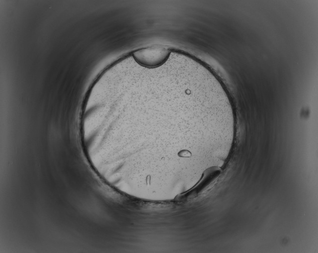 X0000100841183200807180913