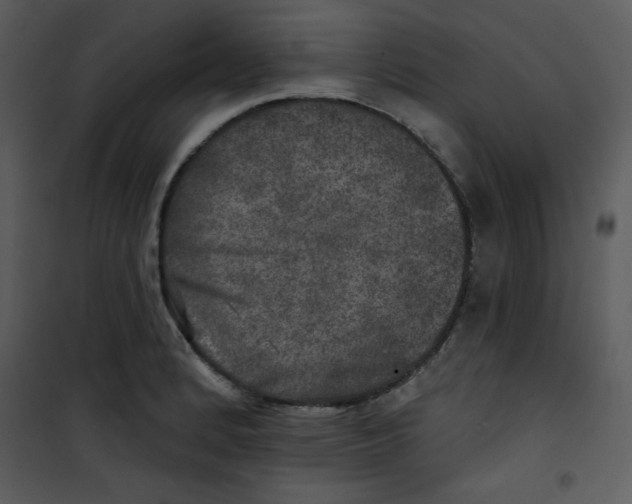 X0000100841184200807180913