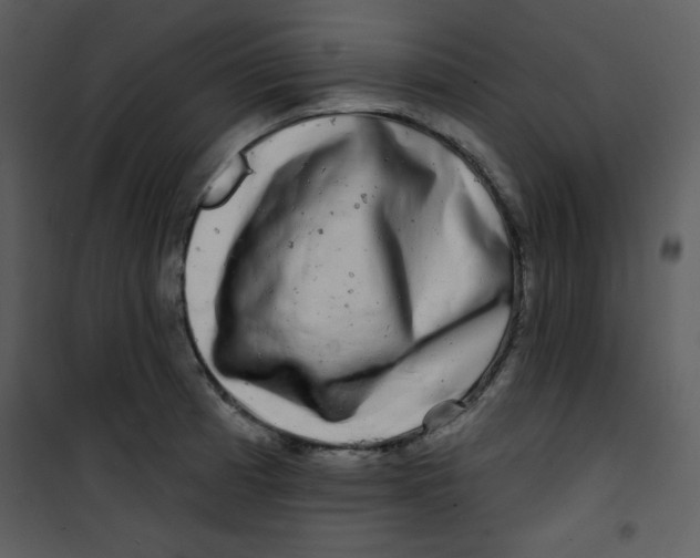 X0000100841185200807180913