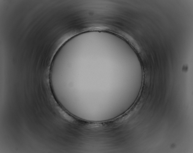 X0000100841186200807180913