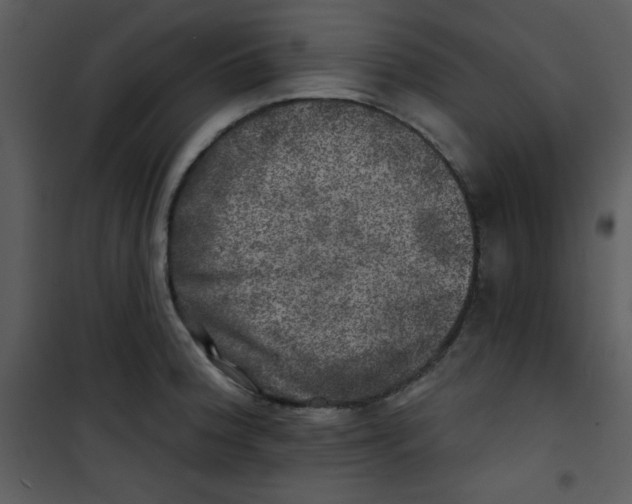 X0000100841188200807180913