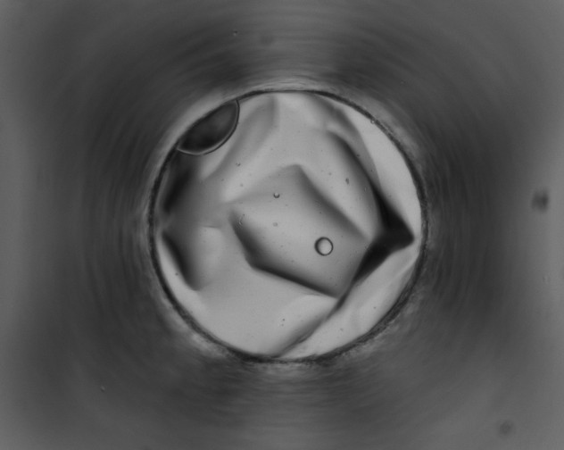 X0000100841189200807180913