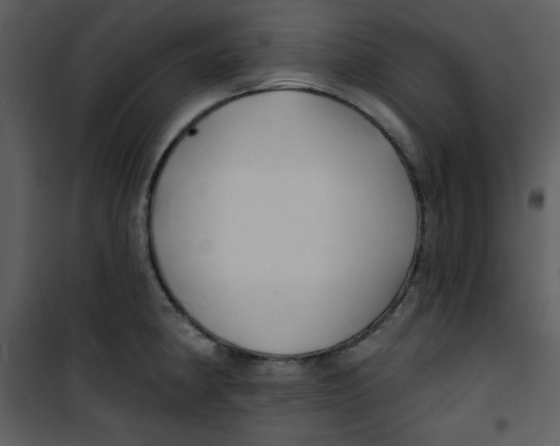 X0000100841190200807180913