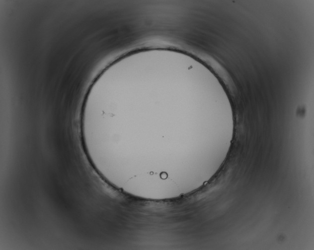 X0000100841191200807180913