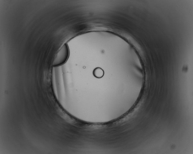 X0000100841193200807180913