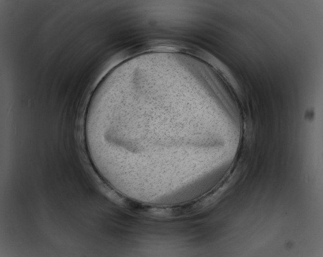 X0000100841194200807180913