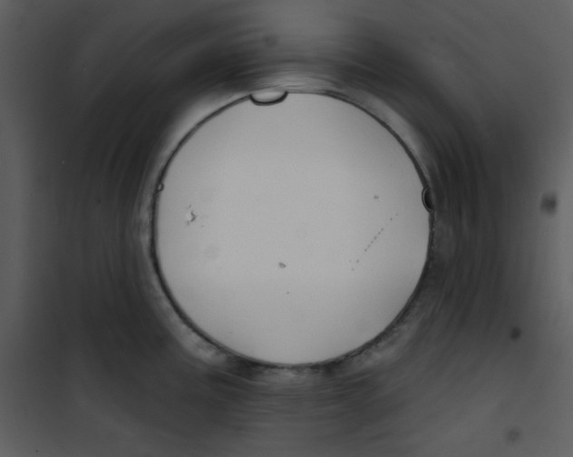 X0000100841195200807180913