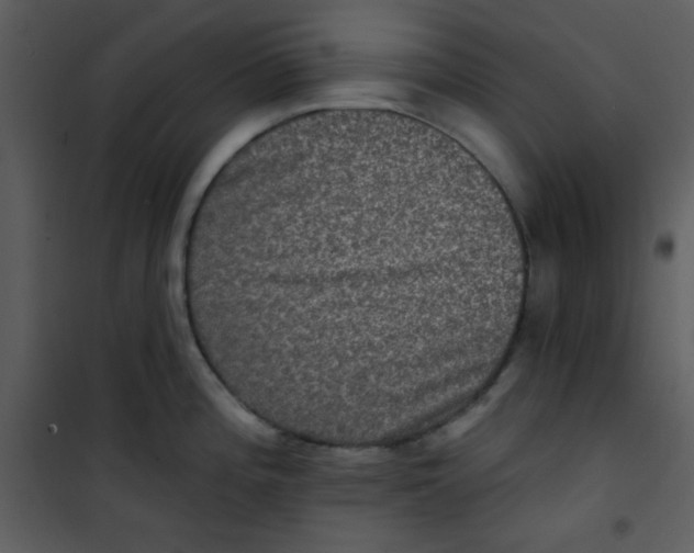 X0000100841196200807180913