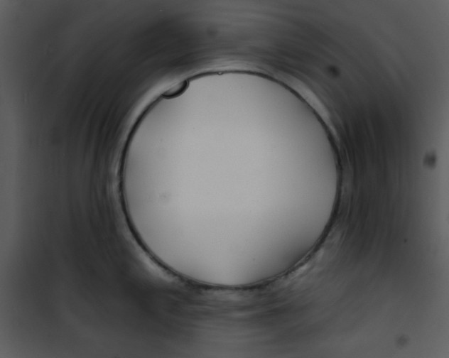 X0000100841197200807180913