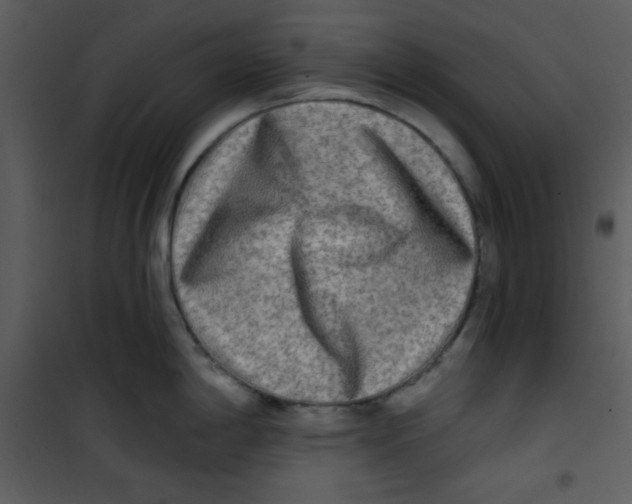 X0000100841198200807180913