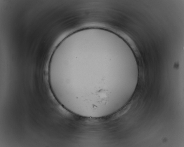 X0000100841199200807180913