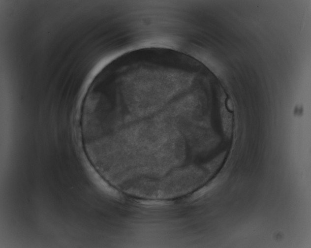 X0000100841200200807180913