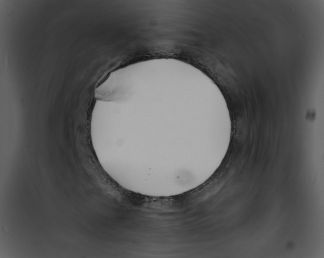 X0000100841201200807180912