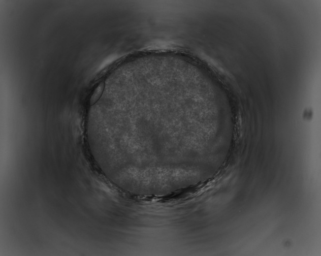 X0000100841206200807180912