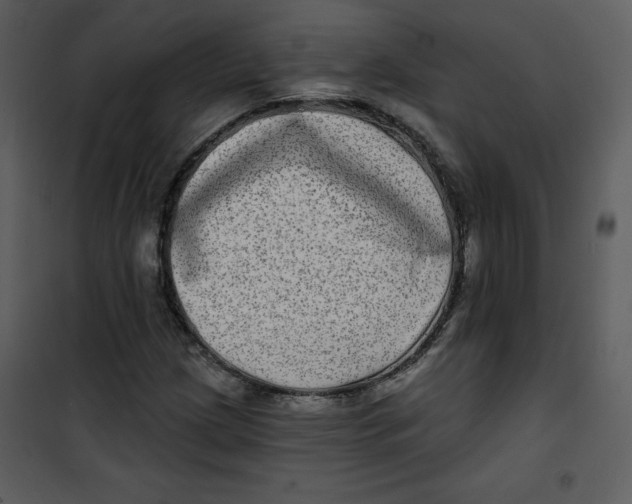 X0000100841209200807180912