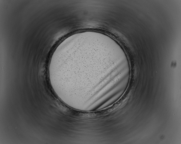 X0000100841210200807180912