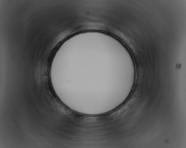 X0000100841211200807180912