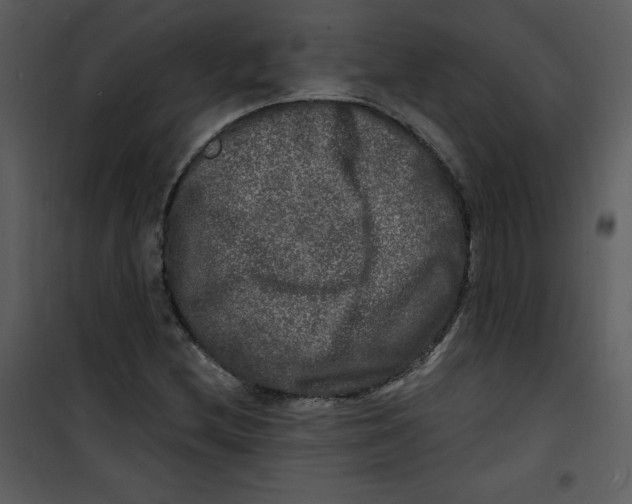 X0000100841212200807180912