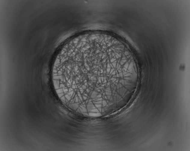 X0000100841213200807180912
