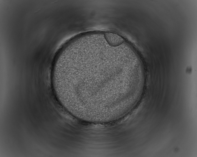 X0000100841214200807180912