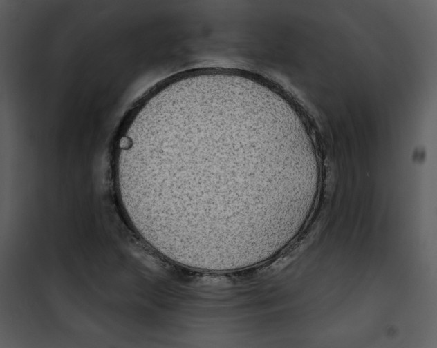 X0000100841215200807180912