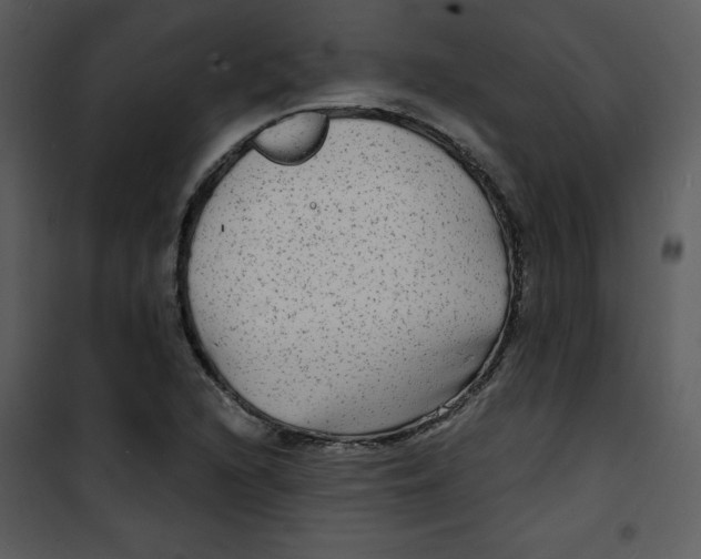 X0000100841216200807180912