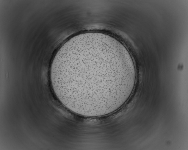 X0000100841217200807180912