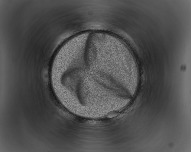 X0000100841218200807180913