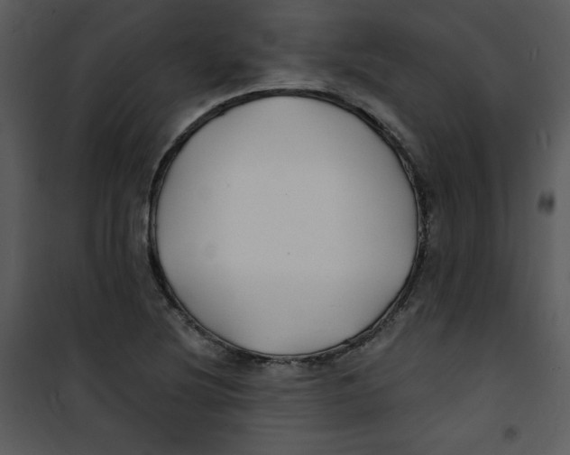 X0000100841220200807180913