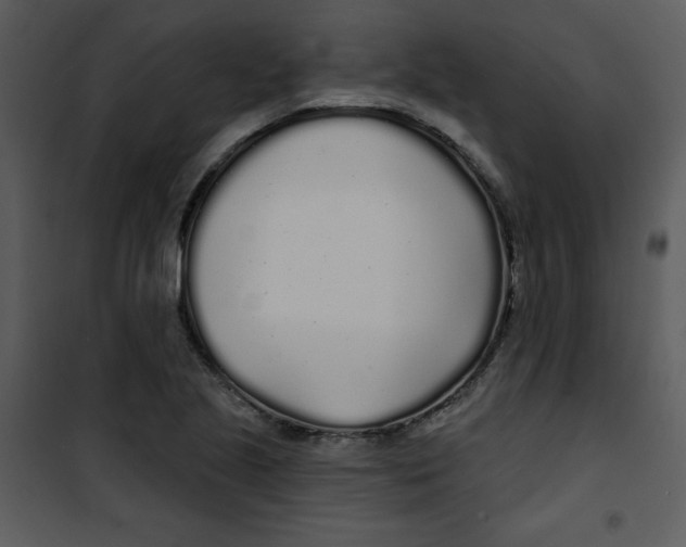 X0000100841221200807180913