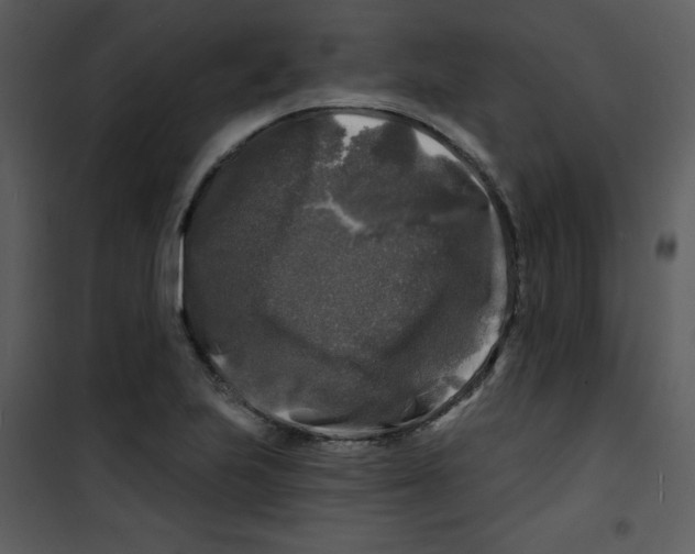 X0000100841223200807180913