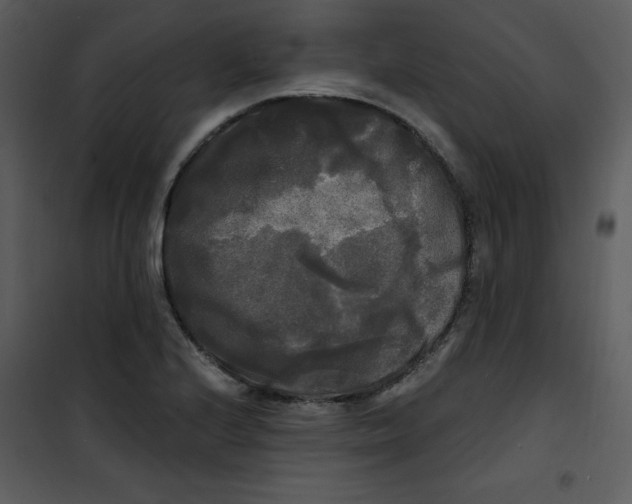 X0000100841224200807180913