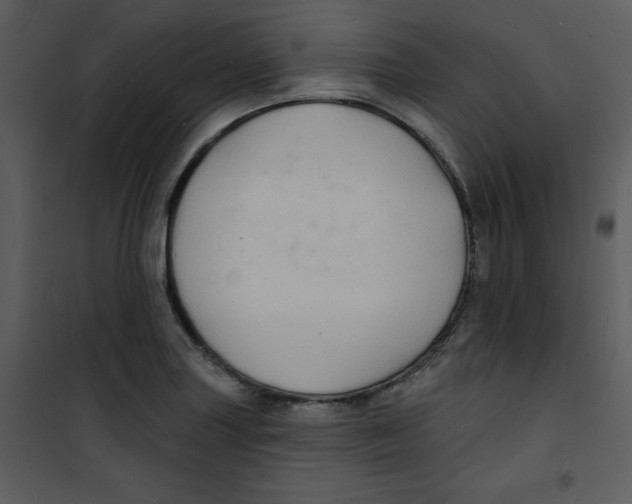 X0000100841227200807180913