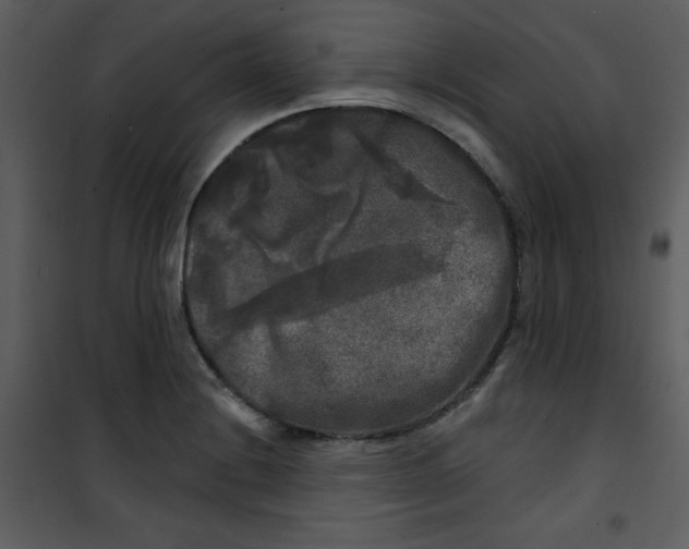 X0000100841228200807180913