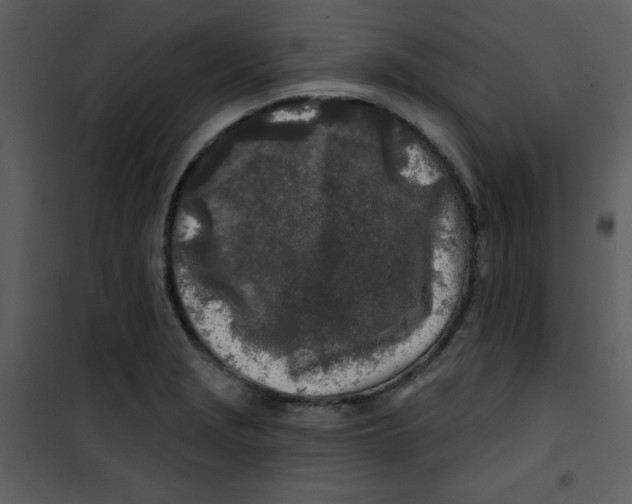 X0000100841229200807180913